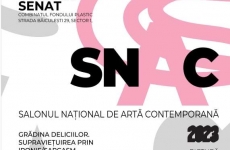 Salonul national de arta