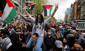 protest pro palestina