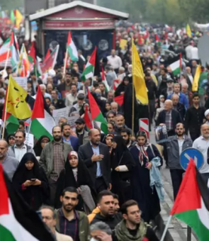 manifestatii pro palestinieni