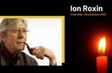 ion roxin
