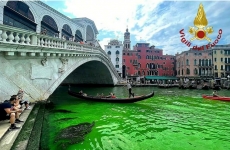 apa verde venetia