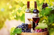 vinuri moldova