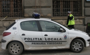 politia locala timisoara