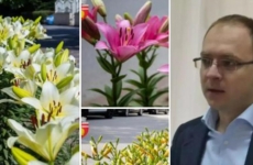 primarul din botosani a pus flori pentru amanta in oras