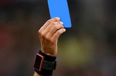 cartonas albastru