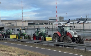 fermieri frankfurt