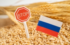 cereale rusia
