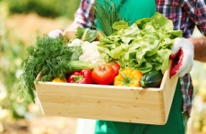 legume fructe securitate alimentara