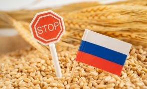 cereale rusia