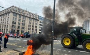 proteste fermieri parlamentul european