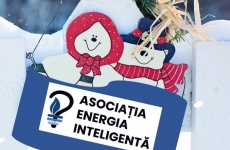 Asociaţia Energia Inteligentă
