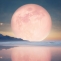 Luna plina roz, aprilie