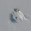 Vulcan Erebus, Antarctica