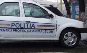 politia animalelor