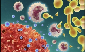cancer bacterie virus