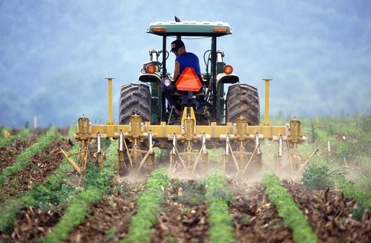 Vești bune pentru fermieri – vor primi mai mulți bani în avans. Ministrul Agriculturii: ‘Am primit acordul’