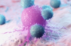 celule canceroase