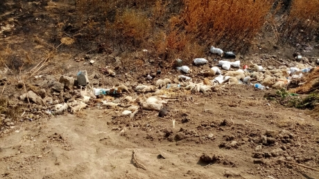 Anchetă în cazul zecilor de cadavre de ovine incendiate şi îngropate la Babadag