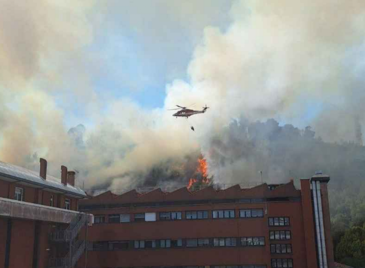 Incendiul de vegetație de la Roma, lângă sediul RAI și Curtea de Justiție: s-a ordonat evacuarea birourilor și a locuințelor din apropiere