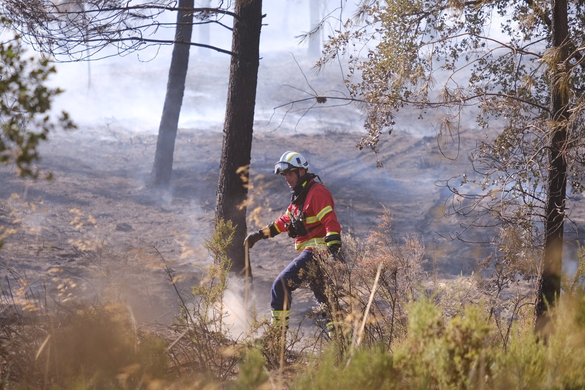 Dezastru în Portugalia: Peste 42 de incendii surprinse de imagini ...