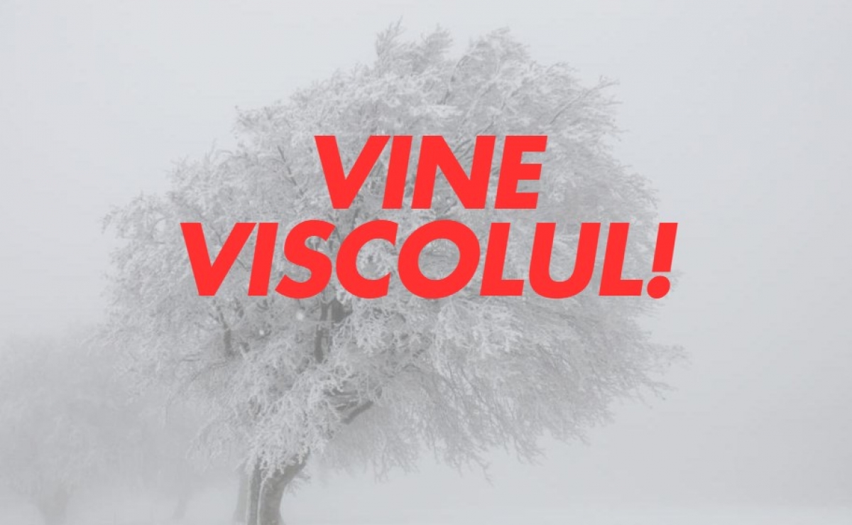 viscol 