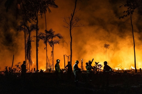 Incendii istorice în Amazon: 2024, anul cu cele mai extinse distrugeri din ultimele patru decenii