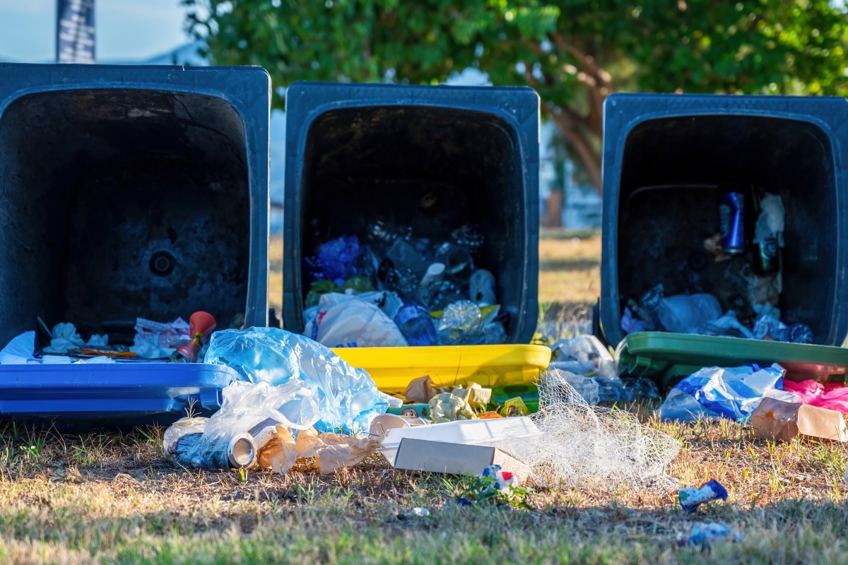 Adio, ghene de bloc! Primăria S6 promite că 'în curând' vor fi funcționale punctele de precolectare selectivă