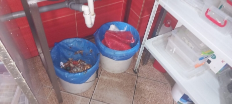 VIDEO FOTO Piedone taie în carne vie: S-a crucit când a văzut ce a găsit în restaurantele din România