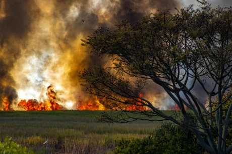 Incendiul izbucnit în zona Pianu - Săsciori - Șugag, județul Alba, a fost lichidat
