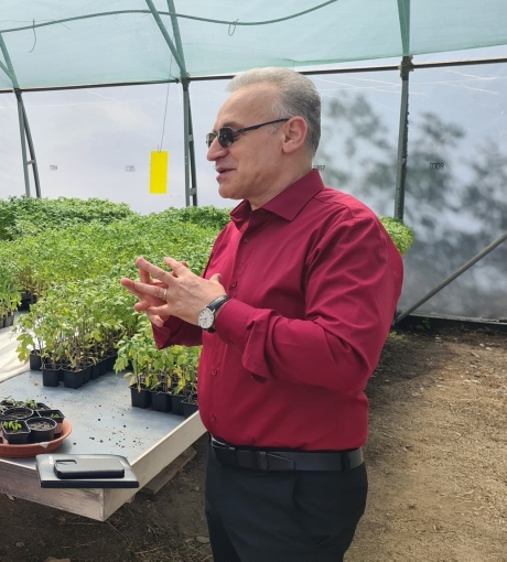 FOTO Biodiversitate în farfurie: profesorul care salvează roşiile uitate ale României
