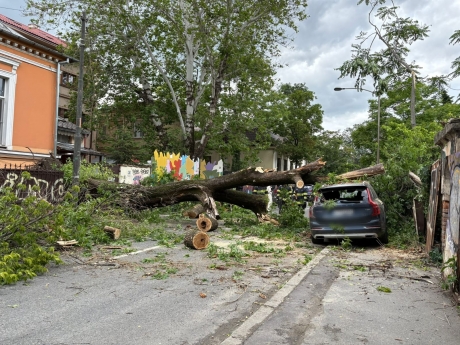 FOTO Copac căzut peste două mașini, în București: Pompierii au intervenit de urgență