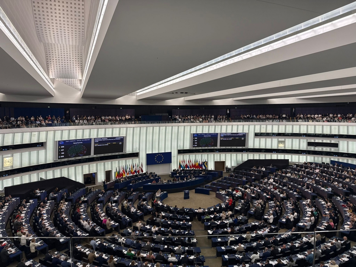 parlamentul european 