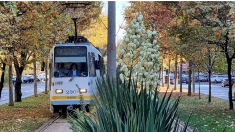 Circulaţia tramvaielor pe liniile 41 şi 25 va fi reluată luni dimineaţa