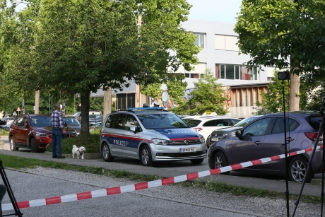 Two Romanian citizens among persons injured in armed attack in Gratz, says Ministry of Foreing Affairs.