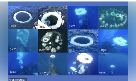 VIDEO Un semnal foarte ciudat din ocean seamănă cu sunetele venite din spațiu: Legătura total neașteptată