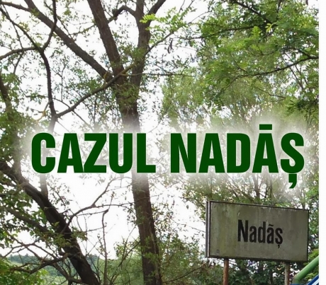 Justiția reparatoare – un semnal de normalitate de la Înalta Curte în cazul comunei Nădaș