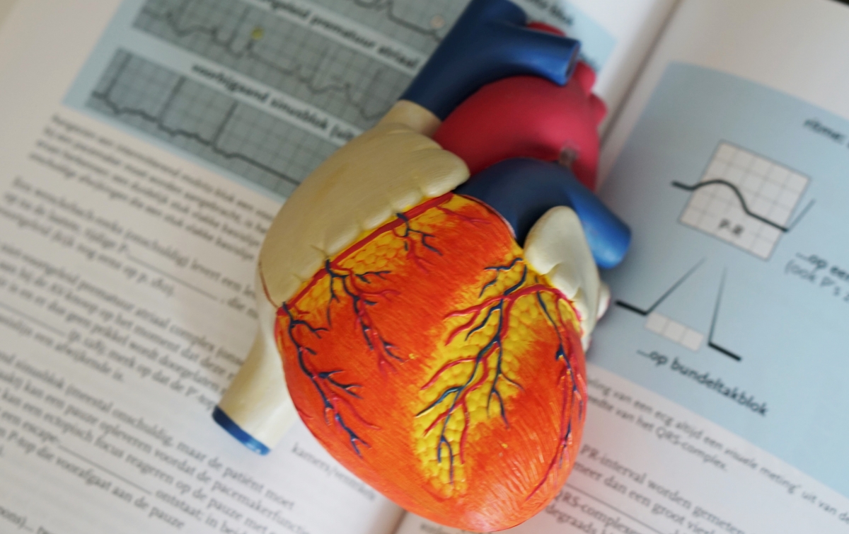 O nou&#259; er&#259; &icirc;n medicin&#259;: dou&#259; tehnici revolu&#539;ionare permit repornirea inimilor donate &icirc;n afara corpului