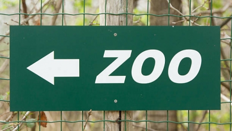 FOTO Grădină Zoologică, în miezul unui scandal: Animal filmat într-o stare deplorabilă, vizibil slăbit și cu blana căzută. ONG-urile cer închiderea parcului zoo