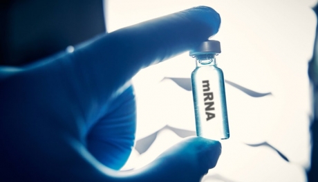 Americanii renunţă la finanţarea dezvoltării vaccinurilor cu tehnologia ARNm