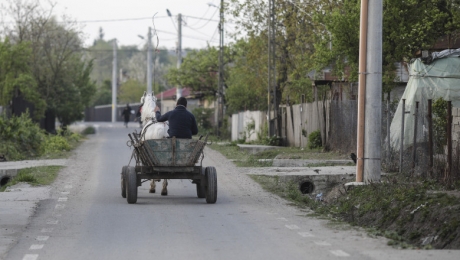Accident grav în Mureș: un bărbat a murit după ce autoutilitara a lovit două căruțe
