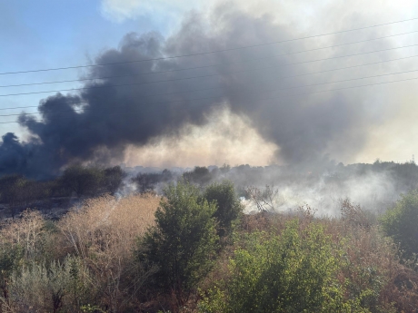 Peste 100 de hectare s-au făcut scrum în Prahova: Incendiile de vegetație se extind în mai multe zone