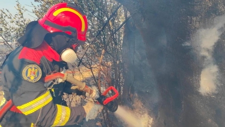 FOTO Pompierii români intervin pentru limitarea efectelor unui incendiu de vegetaţie produs în estul Atenei