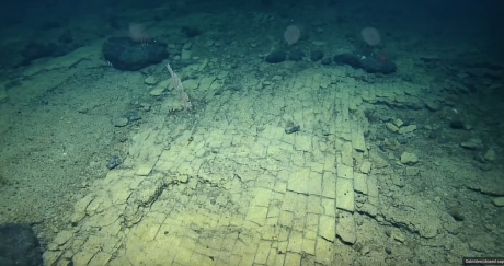 VIDEO Un drum pavat a fost descoperit pe fundul Oceanului Pacific. Ce explicații au oamenii de știință