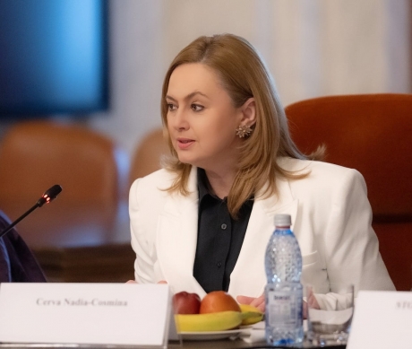 Plângeri în lanț împotriva `arhitectei trădărilor` din grupul parlamentar S.O.S. România de la Senat