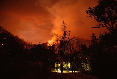 VIDEO Incendii devastatoare în California: ard podgoriile din Napa Valley