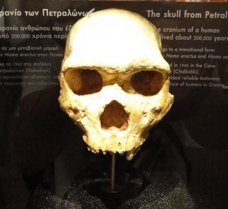 Craniul de la Petralona provoacă controverse printre oamenii de știință: Nu e nici al unui om modern și nici al unui Neanderthal